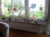 20131008_170002.jpg