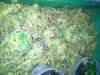 20131014_154846.jpg