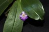 DSC_1809.jpg