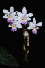 DSC_3192.jpg