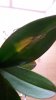 20160516_130720.jpg