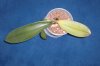 CIMG0500-3.jpg