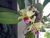 IMG_20120702_172050.jpg