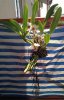 IMG_20120703_132524.jpg