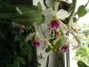 IMG_20120711_143152.jpg