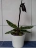 2012-11-10 10.12.01.jpg