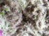 20130513_105706.jpg