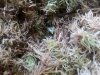 20130513_105745.jpg